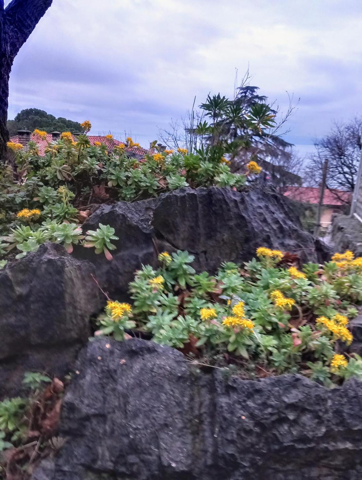 With View In Apartment Rijeka