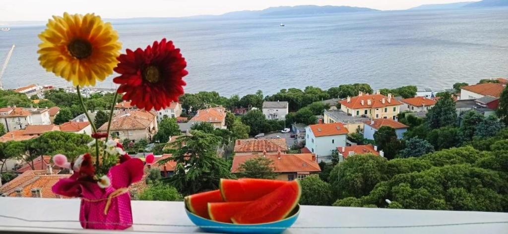 With View In * Rijeka