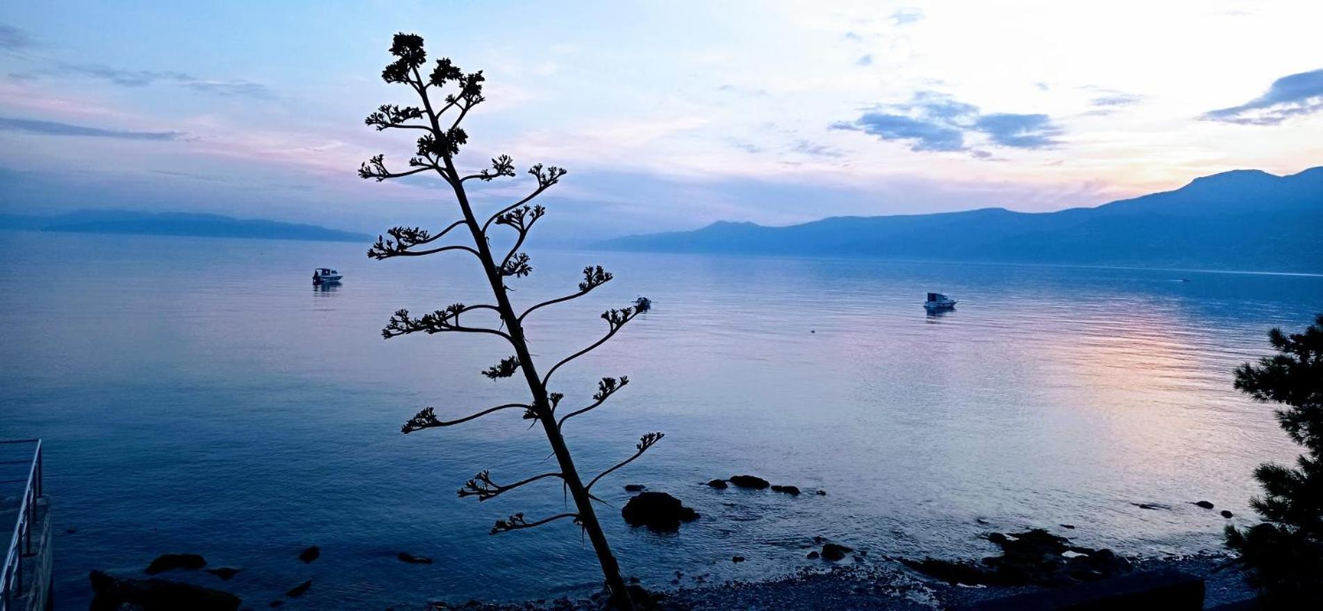 With View In Rijeka