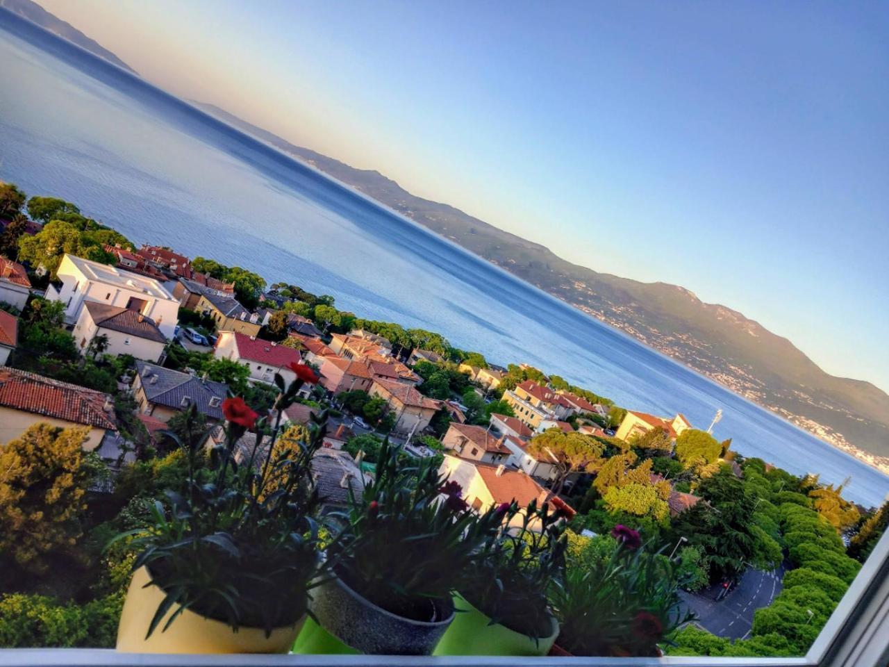 With View In